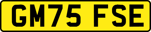 GM75FSE
