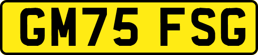 GM75FSG