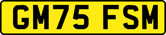 GM75FSM