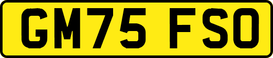GM75FSO