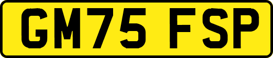 GM75FSP