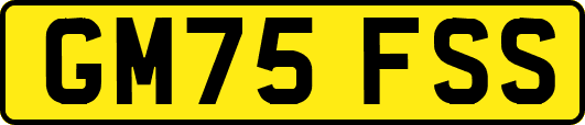 GM75FSS