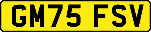 GM75FSV