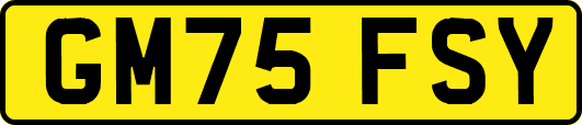 GM75FSY