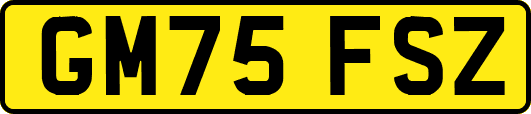 GM75FSZ