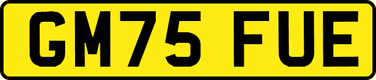 GM75FUE