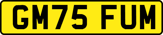 GM75FUM