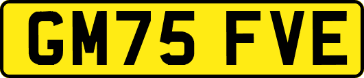GM75FVE