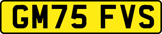 GM75FVS