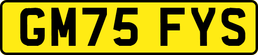 GM75FYS