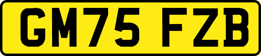GM75FZB