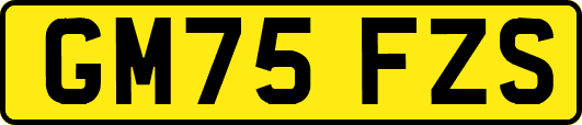 GM75FZS