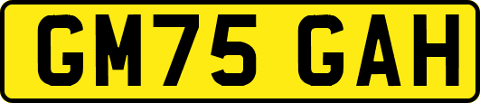 GM75GAH