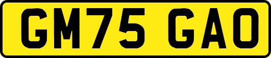 GM75GAO