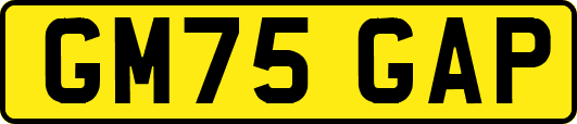 GM75GAP