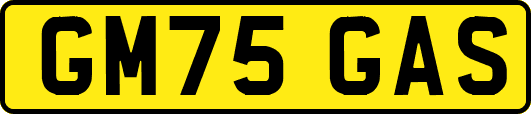 GM75GAS