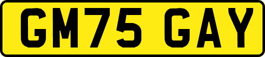 GM75GAY