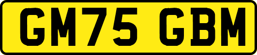 GM75GBM