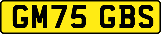 GM75GBS
