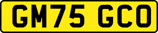 GM75GCO