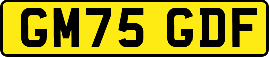 GM75GDF
