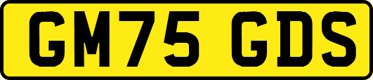 GM75GDS