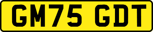 GM75GDT