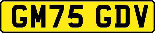 GM75GDV