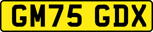 GM75GDX
