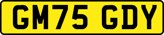 GM75GDY