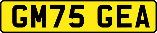 GM75GEA