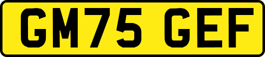GM75GEF
