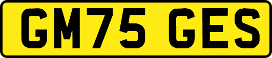 GM75GES