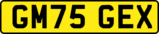 GM75GEX