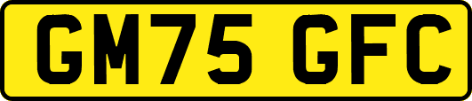 GM75GFC