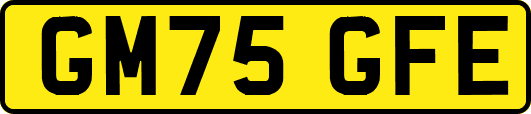 GM75GFE