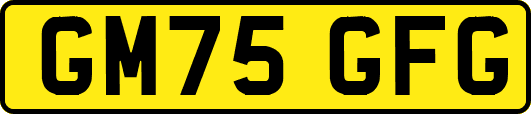 GM75GFG