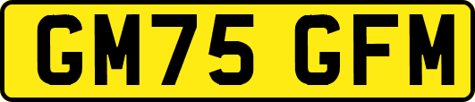 GM75GFM
