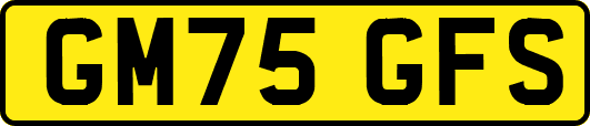 GM75GFS