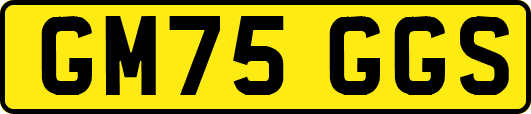GM75GGS