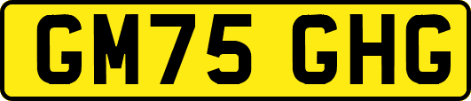 GM75GHG