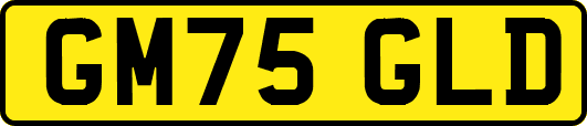 GM75GLD