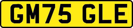 GM75GLE