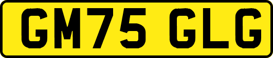 GM75GLG