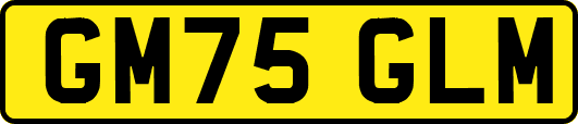 GM75GLM