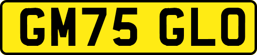 GM75GLO