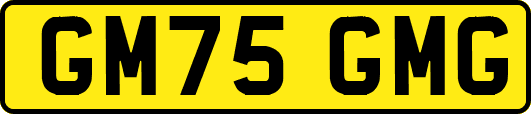 GM75GMG