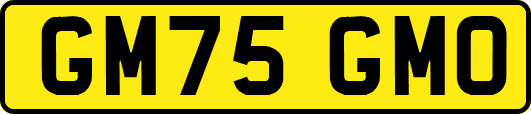 GM75GMO