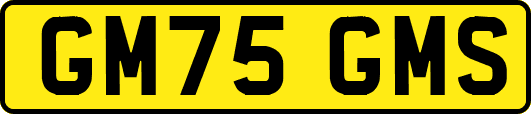 GM75GMS