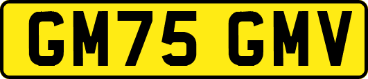 GM75GMV